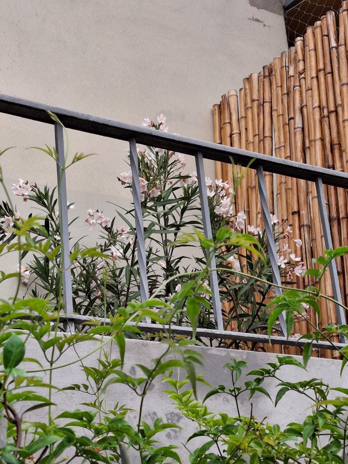 Habitación de Casa Cerro