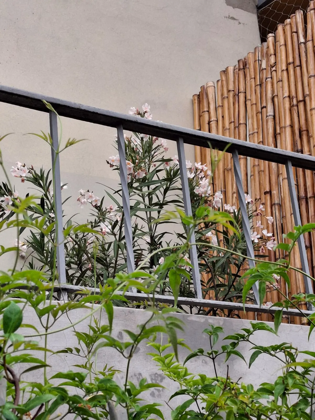 Apartamento equipado de CasaCerro en Salta